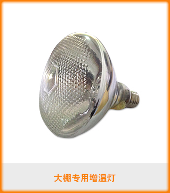 增温灯