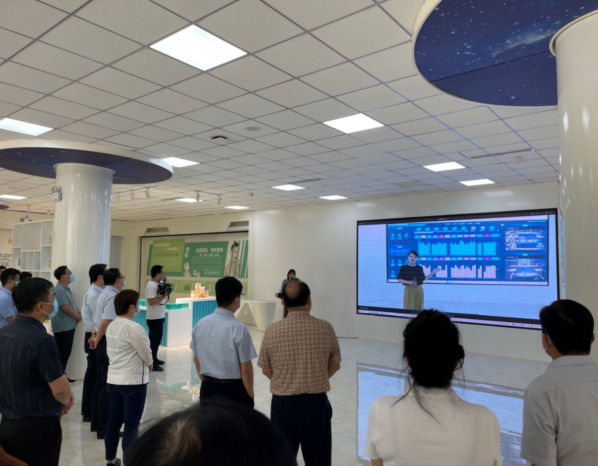 文章附图